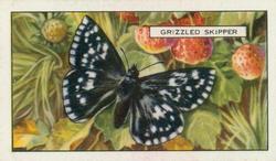 1938 Gallaher Butterflies and Moths #7 Grizzled Skipper Front