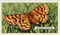 1938 Gallaher Butterflies and Moths #8 Mother Shipton Front