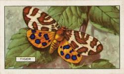 1938 Gallaher Butterflies and Moths #9 Tiger Front