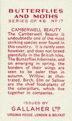1938 Gallaher Butterflies and Moths #17 Camberwell Beauty Back