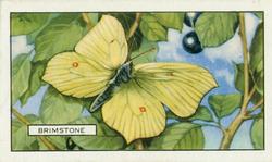 1938 Gallaher Butterflies and Moths #19 Brimstone Front