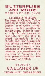 1938 Gallaher Butterflies and Moths #20 Clouded Yellow Back