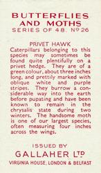 1938 Gallaher Butterflies and Moths #26 Privet Hawk Back