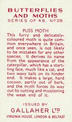 1938 Gallaher Butterflies and Moths #28 Puss Moth Back