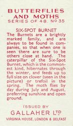 1938 Gallaher Butterflies and Moths #35 Six-Spot Burnet Back