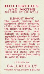 1938 Gallaher Butterflies and Moths #42 Elephant Hawk Back