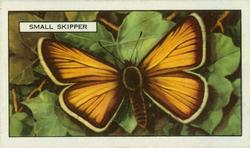 1938 Gallaher Butterflies and Moths #44 Small Skipper Front