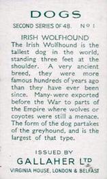 1938 Gallaher Dogs Series 2 #1 Irish Wolfhound Back