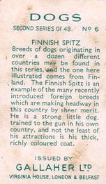 1938 Gallaher Dogs Series 2 #6 Finnish Spitz Back