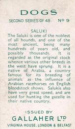 1938 Gallaher Dogs Series 2 #9 Saluki Back