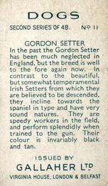 1938 Gallaher Dogs Series 2 #11 Gordon Setter Back