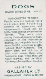 1938 Gallaher Dogs Series 2 #17 Manchester Terrier Back