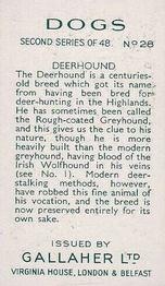 1938 Gallaher Dogs Series 2 #28 Deerhound Back