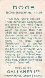 1938 Gallaher Dogs Series 2 #29 Italian Greyhound Back