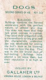 1938 Gallaher Dogs Series 2 #33 Bulldog Back