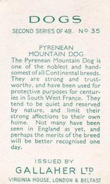 1938 Gallaher Dogs Series 2 #35 Pyrenean Mountain Dog Back