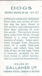 1938 Gallaher Dogs Series 2 #37 African Hairless Terriers Back