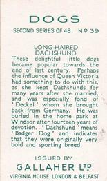 1938 Gallaher Dogs Series 2 #39 Long-Haired Dachshund Back