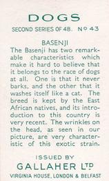 1938 Gallaher Dogs Series 2 #43 Basenji Back