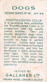 1938 Gallaher Dogs Series 2 #44 Smooth-Coated Collie Back