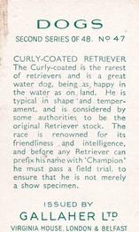 1938 Gallaher Dogs Series 2 #47 Curly-Coated Retriever Back