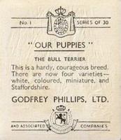 1936 Godfrey Phillips Our Puppies #1 The Bull Terrier Back