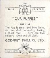 1936 Godfrey Phillips Our Puppies #4 The Pug Back