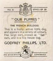1936 Godfrey Phillips Our Puppies #6 The French Bulldog Back