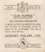 1936 Godfrey Phillips Our Puppies #8 The Griffon Bruxellois Back