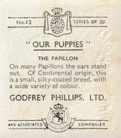 1936 Godfrey Phillips Our Puppies #12 The Papillon Back