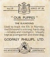 1936 Godfrey Phillips Our Puppies #17 The Elkhound Back