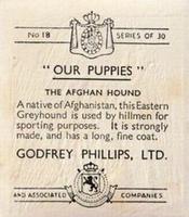 1936 Godfrey Phillips Our Puppies #18 The Afghan Hound Back