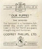 1936 Godfrey Phillips Our Puppies #22 The Samoyed Back