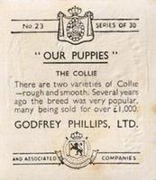 1936 Godfrey Phillips Our Puppies #23 The Collie Back