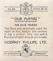 1936 Godfrey Phillips Our Puppies #26 The Skye Terrier Back