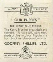 1936 Godfrey Phillips Our Puppies #27 The Kerry Blue Terrier Back