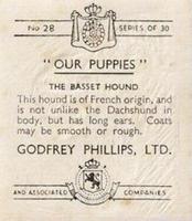 1936 Godfrey Phillips Our Puppies #28 The Basset Hound Back