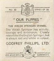 1936 Godfrey Phillips Our Puppies #30 The Welsh Springer Spaniel Back