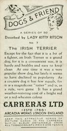 1936 Carreras Dogs & Friend #7 Irish Terrier Back
