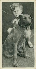 1936 Carreras Dogs & Friend #7 Irish Terrier Front