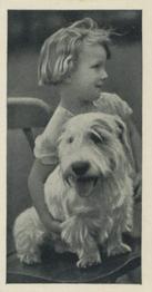 1936 Carreras Dogs & Friend #8 Sealyham Terrier Front