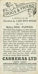 1936 Carreras Dogs & Friend #13 Bulldog Back