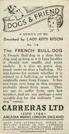 1936 Carreras Dogs & Friend #14 French Bulldog Back