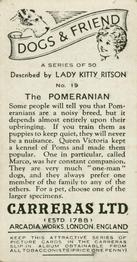 1936 Carreras Dogs & Friend #19 Pomeranian Back