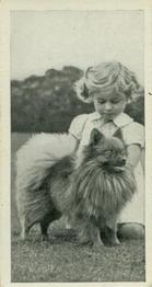 1936 Carreras Dogs & Friend #19 Pomeranian Front