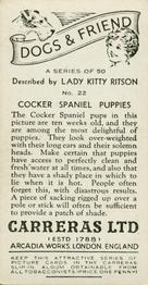 1936 Carreras Dogs & Friend #22 Cocker Spaniel Back