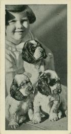 1936 Carreras Dogs & Friend #22 Cocker Spaniel Front