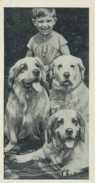 1936 Carreras Dogs & Friend #24 Clumber Spaniel Front