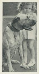 1936 Carreras Dogs & Friend #31 Mastiff Front