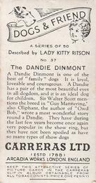 1936 Carreras Dogs & Friend #37 Dandie Dinmont Back